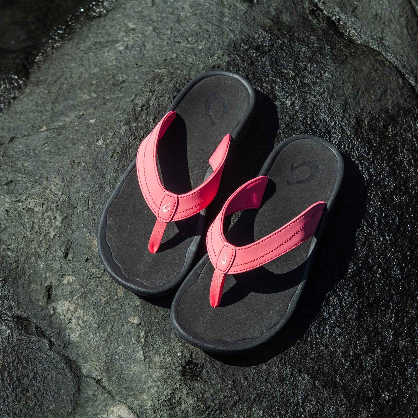 'Ohana -  Hot Pink / Black